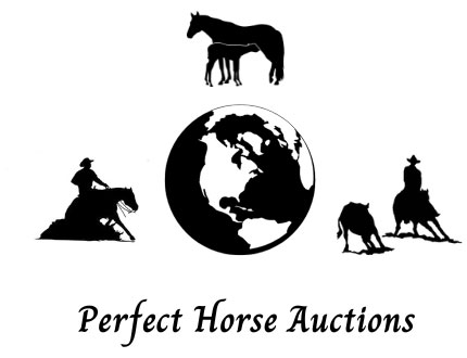 Perfect Horse Auctions Demo